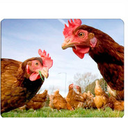 Chicken Gaming Mousepad Funny Chicken Mouse Pad Podloga za miš za računalni stol Prijenosno računalo Ured 9,5 X 7,9 inča Neklizajuća guma