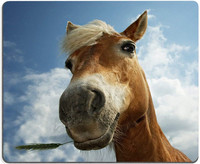 Funny Horse Gaming Mouse Pad Zabavna Animal Mousepad Podloga za miša Neklizajuća Vodootporna gumena podloga Podloga za miša za kućni ured Prijenosno računalo