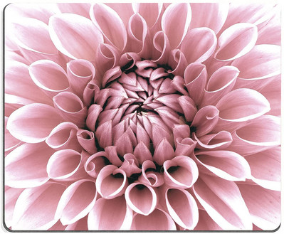 Ροζ Λευκά Λουλούδια Mouse Pad Pretty Floral Art Mouse Pad Αδιάβροχο Mousepad Ορθογώνια Mouse Pads με σχέδια Αντιολισθητικό καουτσούκ