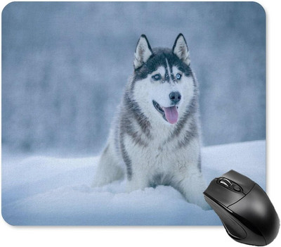 Siberian Huskies on Snow Подложка за мишка Неплъзгаща се подложка за компютърна мишка Подложка за мишка с гумена основа за домашен офис компютър 20 * 25 см