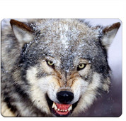 Подложка за мишка Wolf Gaming Angry Wolf in The Snow Подложка за мишка Подложка за мишка за компютърно бюро, лаптоп, офис 9,5 X 7,9 инча Неплъзгаща се гума