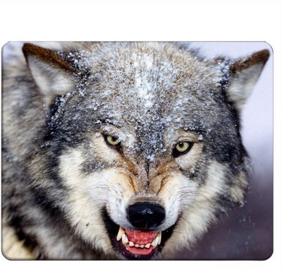 Подложка за мишка Wolf Gaming Angry Wolf in The Snow Подложка за мишка Подложка за мишка за компютърно бюро, лаптоп, офис 9,5 X 7,9 инча Неплъзгаща се гума