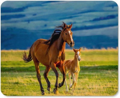Подложка за мишка Horse Mare и Little Foal Неплъзгаща се подложка за компютърна мишка Подложка за мишка с гумена основа за домашен офис компютър 20 * 25 см