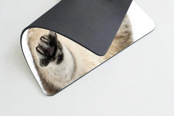 Mousepad με γάτα Fluffy cat Αξεσουάρ γραφείου Mousepad Χαριτωμένο ντεκόρ γραφείου Mousepad Funny Cat paw Εκτύπωση Λευκό Mousepad Διακόσμηση γραφείου