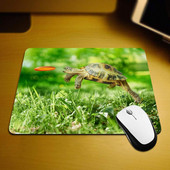 Animal Mouse Pad Χελώνα Χελώνα Jumping Close Up Αντιολισθητικό ελαστικό μαξιλαράκι ποντικιού για υπολογιστές Laptop Office Home 9,5 ίντσες x 7,9 ίντσες