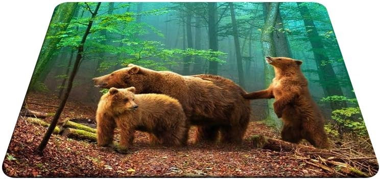 Подложка за мишка Brown Bear Family in The Forest с неплъзгаща се гумена основа Подложка за мишка за лаптоп Офис Домашен лаптоп 9,5"x7,9" инча
