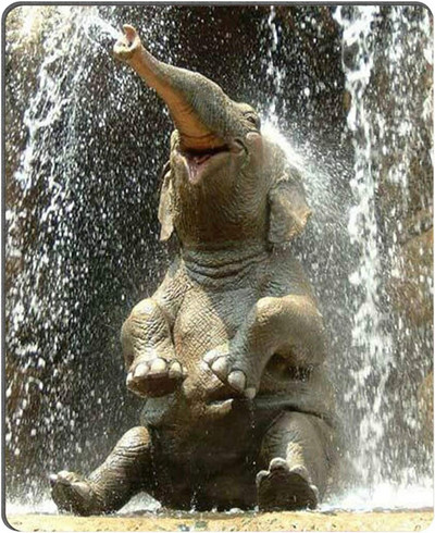 Голяма подложка за мишка Elephant Happy Mouse Pad Страхотна идея за подарък 9,5 X 7,9 инча Водоустойчива гума за лаптоп Компютърни игри Начало