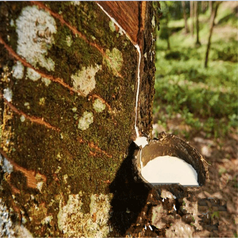Aukštos kokybės 905 geltonos guminės juostos juostos Klijai Tvirtinimo detalės Tvirtas elastingumas Biuro mokiniams Mokyklinės raštinės reikmenys
