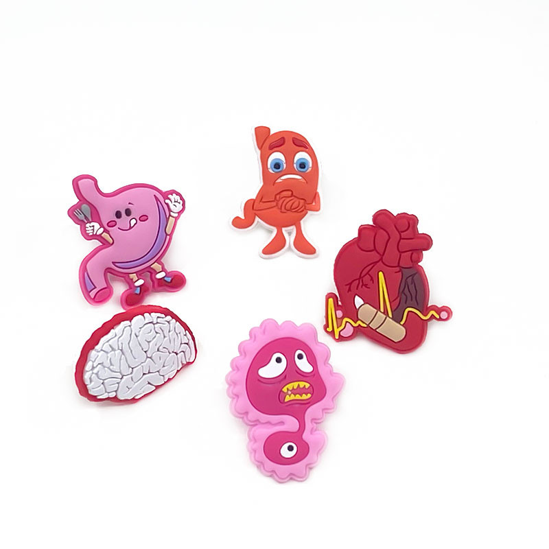 1 vnt. medicinos reikmenų šiaudeliai, PVC pieštuko dangtelis, stetoskopas, širdis, smegenys, gimda, rašiklio dangtelis studentams, slaugytojų biuro raštinės reikmenys