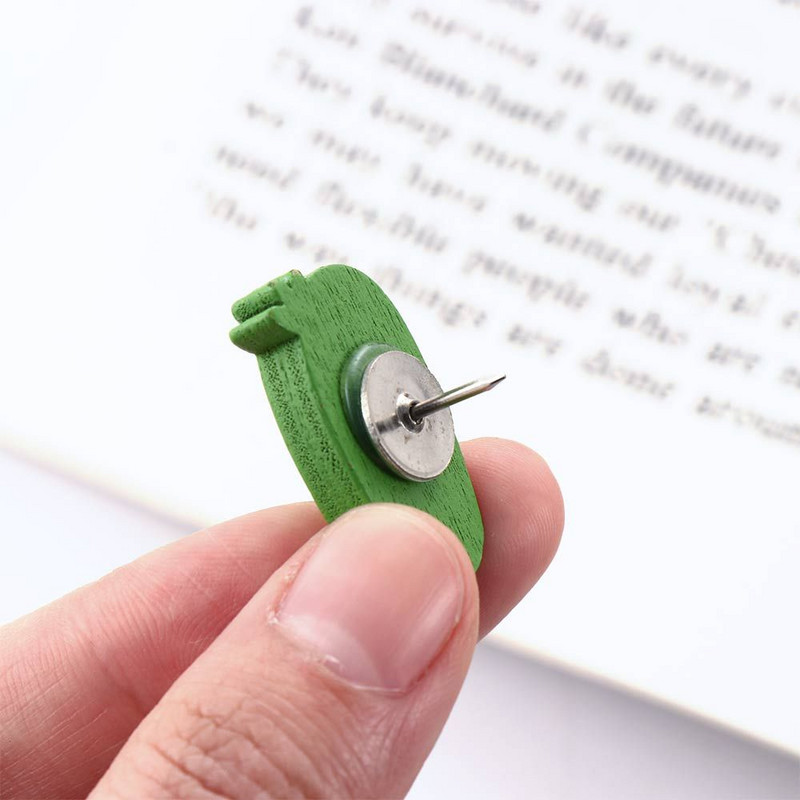 30 БР. Стенни карти Снимки Кактус Палмови листа Коркови дъски Пирони Буталки Игли Ученически пособия