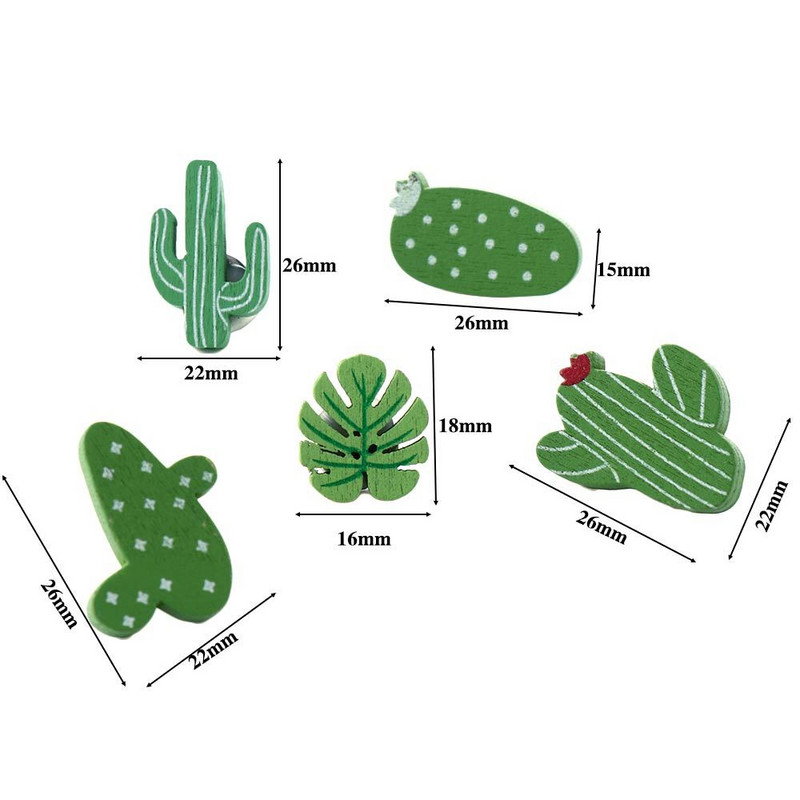 30 БР. Стенни карти Снимки Кактус Палмови листа Коркови дъски Пирони Буталки Игли Ученически пособия