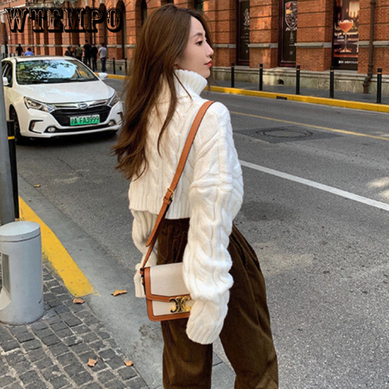 Γυναικείο πουλόβερ με ζιβάγκο μονόχρωμο κοντό πουλόβερ Ολόσωμη μόδα Κορεατικά καθημερινά πλεκτά Νέο τοπ το φθινόπωρο και το χειμώνα 2023