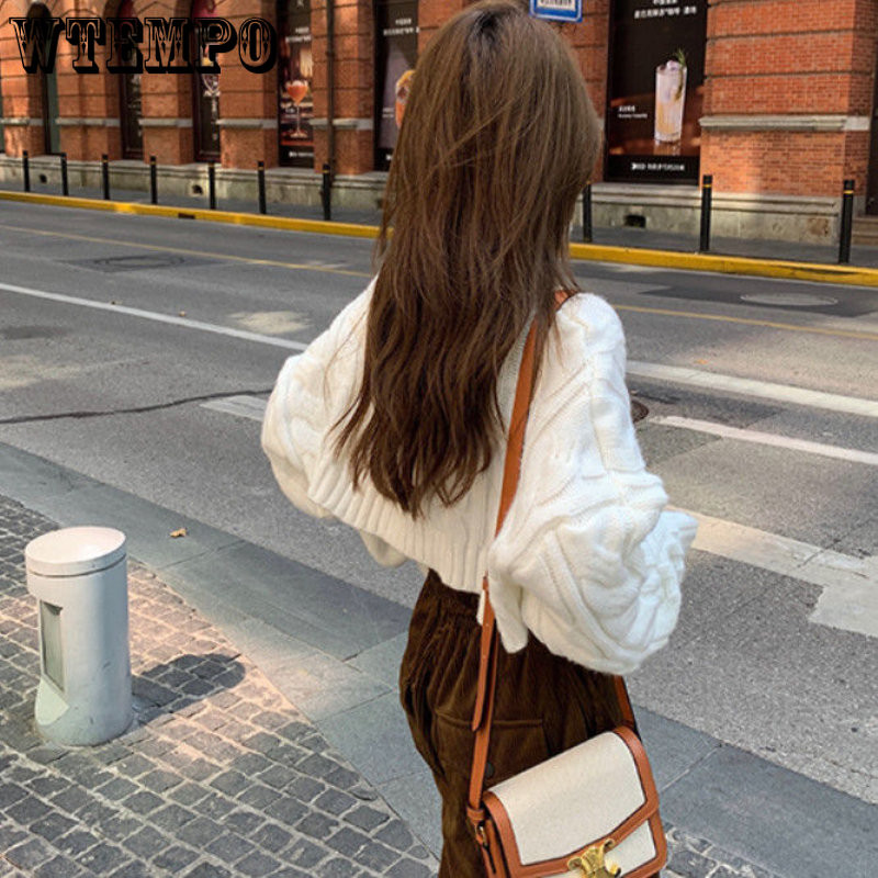 Γυναικείο πουλόβερ με ζιβάγκο μονόχρωμο κοντό πουλόβερ Ολόσωμη μόδα Κορεατικά καθημερινά πλεκτά Νέο τοπ το φθινόπωρο και το χειμώνα 2023