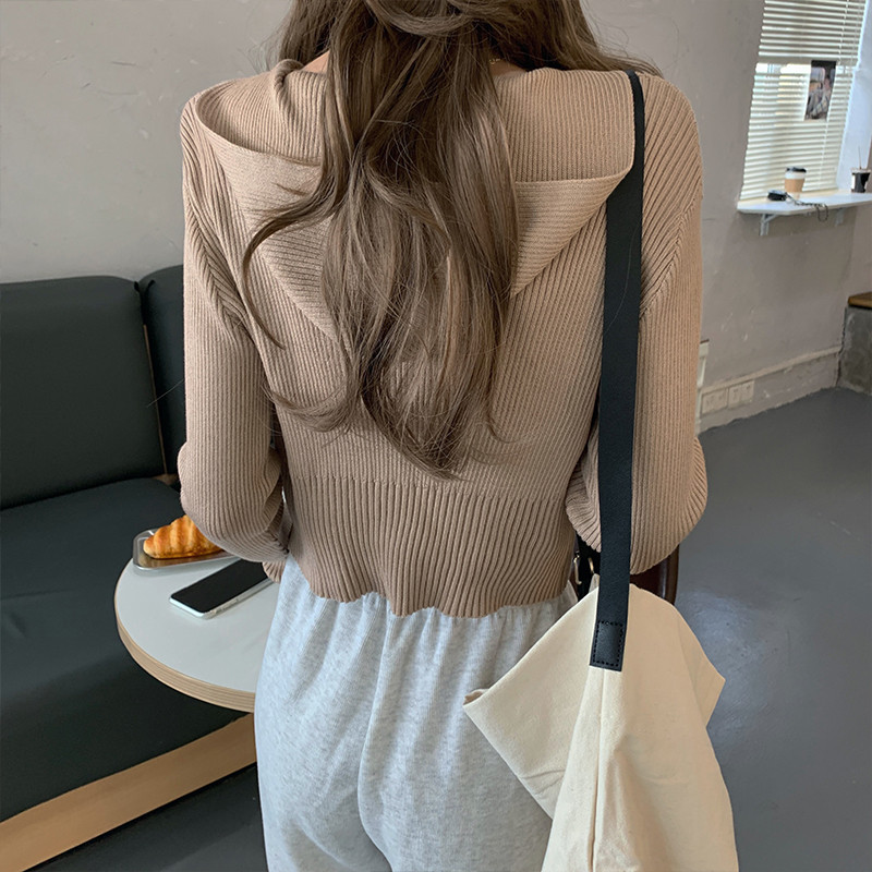 Kardigan s patentnim zatvaračem s kapuljačom, novi dolazak za žene, Harajuku ulični korejski stil, elegantna vintage pletenina dugih rukava, ležerni dizajn