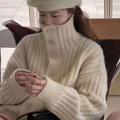 Moteriška apykaklė Korėjietiško stiliaus Paprasta Minkšta Tvirta Visiems tinkantiems laisvalaikiui Madingi Moteriški Patogūs Populiarūs Saldūs Laisvi Apykaklė