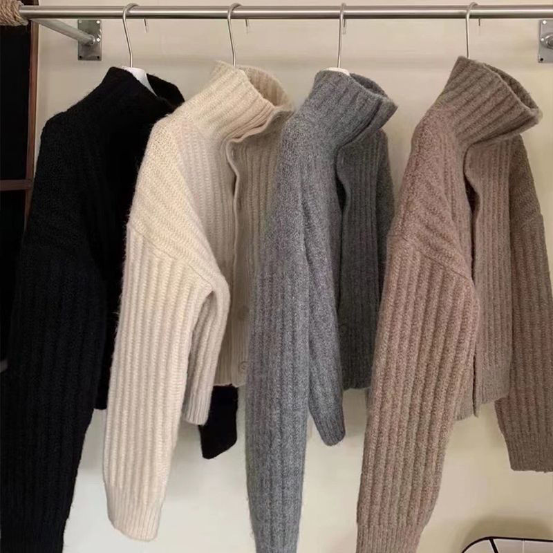 Moteriška apykaklė Korėjietiško stiliaus Paprasta Minkšta Tvirta Visiems tinkantiems laisvalaikiui Madingi Moteriški Patogūs Populiarūs Saldūs Laisvi Apykaklė