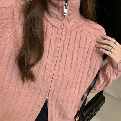 Ženski jesenski kardigan u 3 boje, jednobojni patentni zatvarač za pletenje, samostojeći ovratnik Uredske dame Temperamentni popularni korejski stil za sve