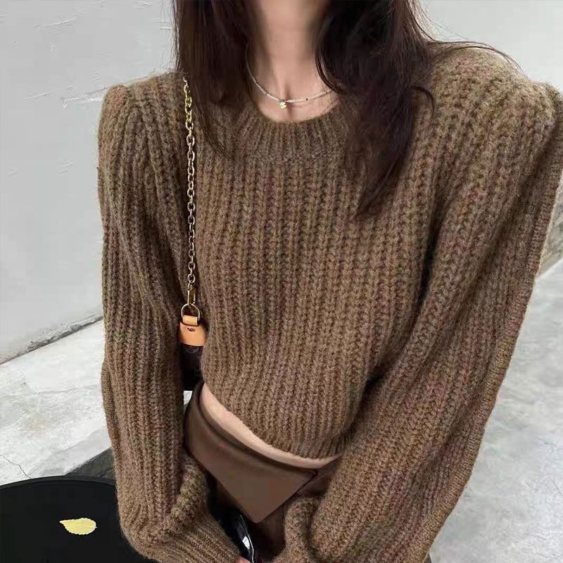 Pleteni puloveri Ženski novi jesenski skraćeni korejski popularni džemper Široki univerzalni vintage jednostavan šik ulični Ulzzang slobodno vrijeme