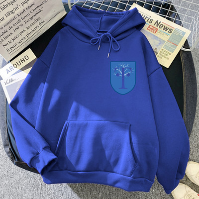 2022 Heartstopper Hoodie Truham Grammar School za dječake Hoodies Estetska odjeća Ženska majica proljeće/jesen Kawaii Sudadera