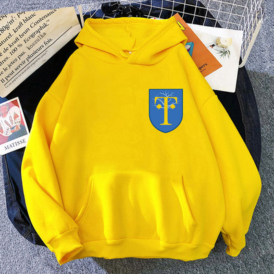 2022 Heartstopper Hoodie Truham Grammar School za dječake Hoodies Estetska odjeća Ženska majica proljeće/jesen Kawaii Sudadera