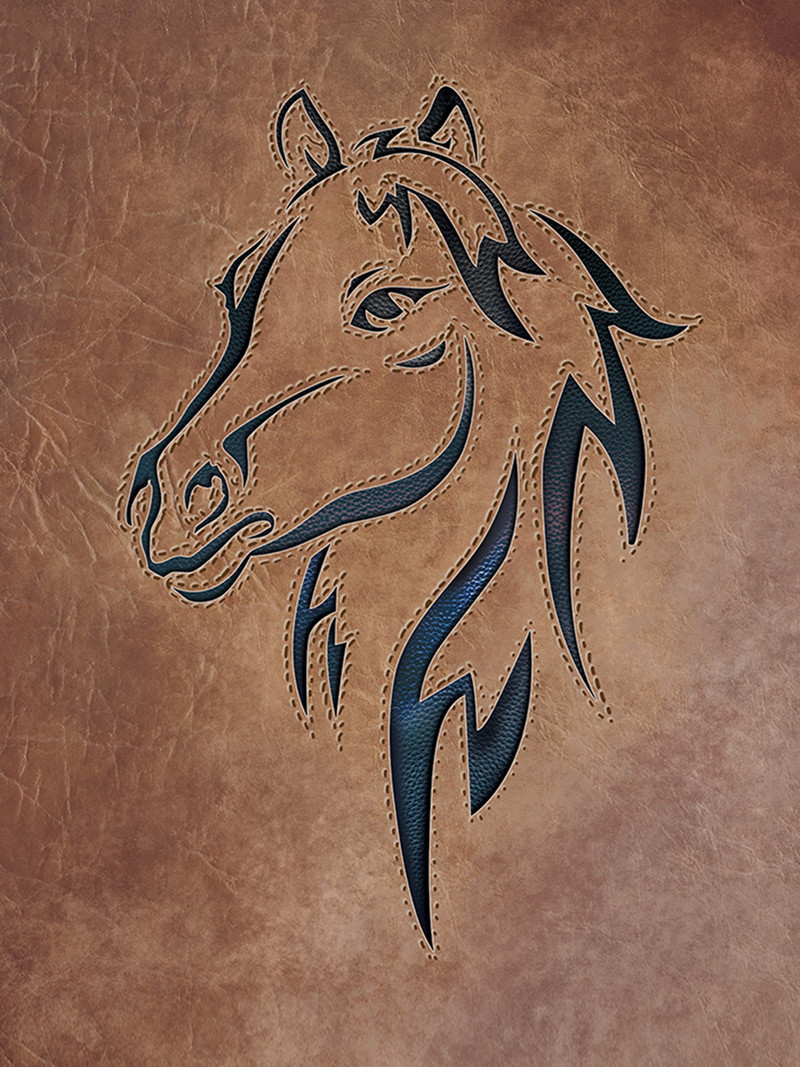 Φούτερ Horse Raglan με μανίκια O-λαιμόκοψη Φθινοπωρινή μόδα Casual Ρούχα για Γυναικεία Φούτερ Βασική Μονόχρωμη Ποιότητα Streetwear