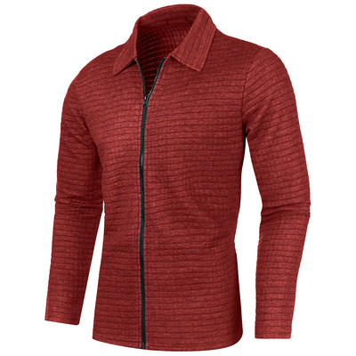 Νέο ανδρικό μονόχρωμο φούτερ με φερμουάρ Χαλαρό μπουφάν Ζεστό πουλόβερ Jogger Αθλητικά παλτό πέτο