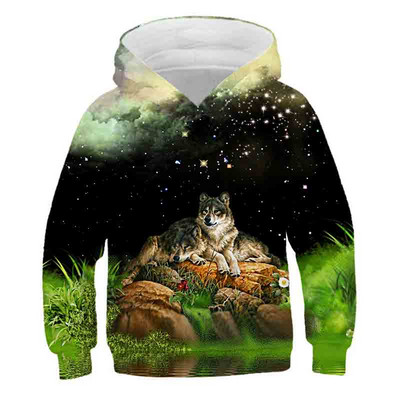2023 Wolf 3d Printed Hoodie για αγόρια Φθινοπωρινό Χειμώνα Casual πουλόβερ αγόρια αθλητικά Μόδα αγόρια Ρούχα Φούτερ 4-14 ετών