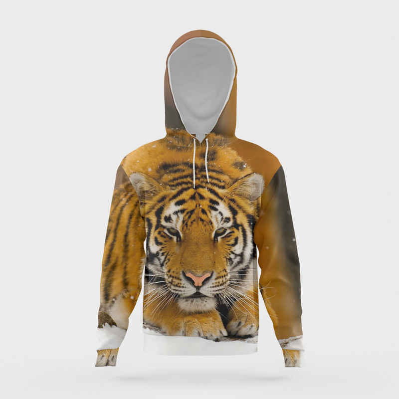 Proljeće i jesen 2023., novi pulover s kapuljačom za dječake, ležerna majica s kapuljačom s 3D crtanim filmovima, modni stil, pulover s kapuljačom dugih rukava, majica s kapuljačom za dječake