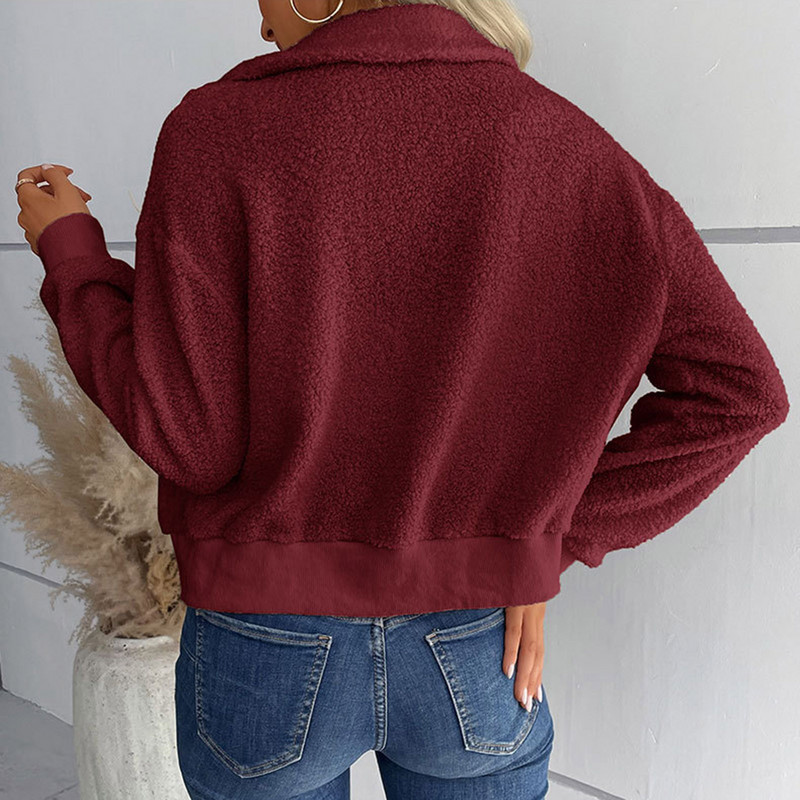 Najprodavanije zimske jakne za žene Ženska jesenska odjeća velikih veličina Jesen Zima Novi kardigan od janjećeg flisa Kaput s patentnim zatvaračem 여성가을의류