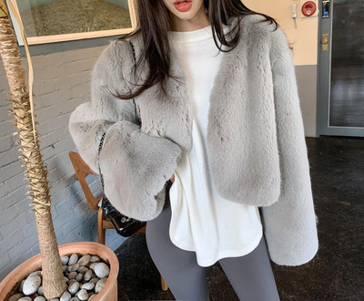 Jachetă groasă de blană artificială, toamnă iarnă, pentru femei, șic, cu mânecă lungă, cu mânecă lungă, păroasă, haină de blană de pluș, îmbrăcăminte