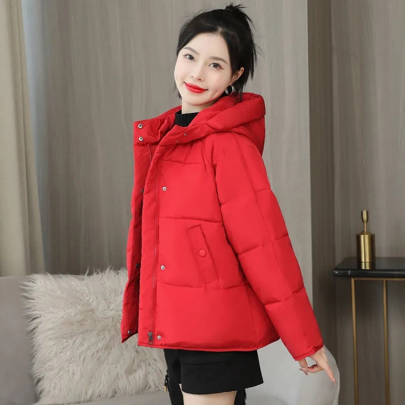 Zimska jakna 2023, nove ženske parke, pamučna jakna s kapuljačom i kapuljačom, ležerna ženska jakna s patentnim zatvaračima, topla korejska ženska gornja odjeća