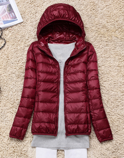 Haina casual de toamna Palton dama