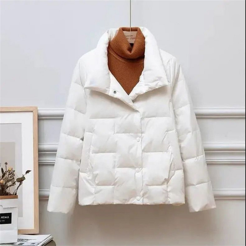 Korejske zimske parke Ultralagana tanka jakna s kapuljačom Ženska gornja odjeća dugih rukava s kapuljačom, tanak kratki topli kaput