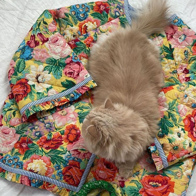 2024 Jesen Zima Ležerna ulična odjeća Ženska debela topla pamučna jakna s otisnutim cvjetovima Modna elegantna spojena ženska jakna dugih rukava