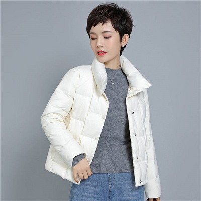 Palton scurt din bumbac cu guler în picioare pentru femei, toamnă iarnă 2023, parkas subțiri, ușoare, haine pentru femei, îmbrăcăminte caldă pentru femei