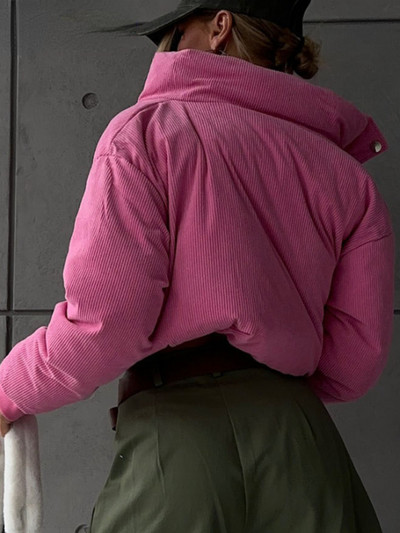 Toamnă 2023 paltoane pentru femei la modă dulce rece caldă velur cu mânecă lungă jachete scurte îngroșate High Street versatilă Top femei