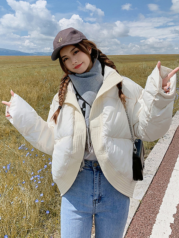 Jachete de puf pentru femei de iarnă 2023, haină ocazională, caldă, jachetă puf pentru femei, pardesă supradimensionată, căptușită din bumbac