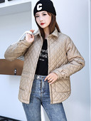 Parka căptușită din bumbac de iarnă 2023, haină ocazională caldă ultra ușoară, cu buzunar mare, jachetă puf pentru femeie, pardesi largi, îmbrăcăminte la modă