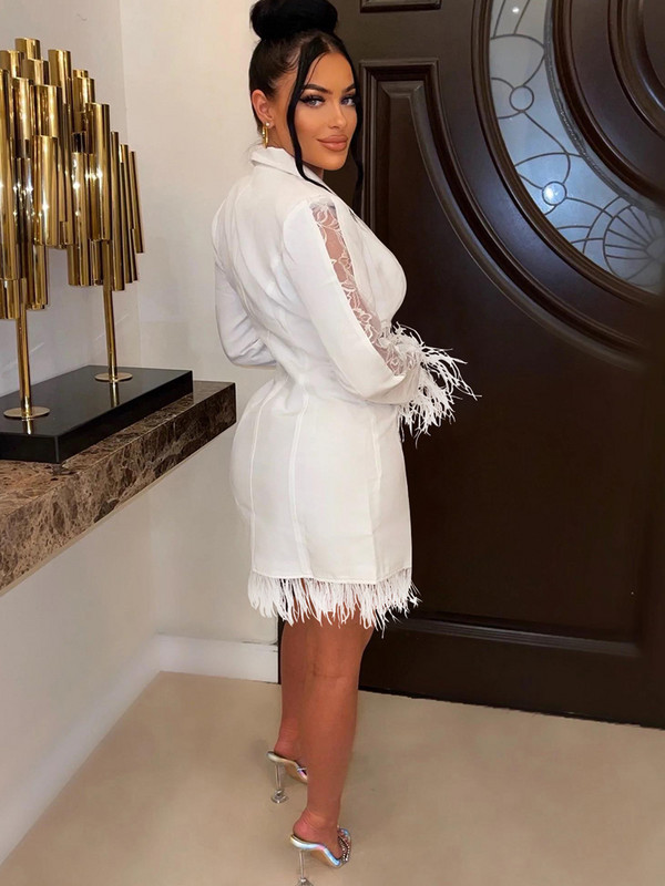 Beyprern Rochie elegantă din dantelă albă cu inserție cu pene, cu mâneci lungi, cu nasturi, corset, rochie blazer, rochii de petrecere, îmbrăcăminte de club sexy