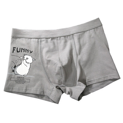 boxers ανδρικά πολυτελή Βαμβακερά μποξεράκια Ανδρικά εσώρουχα Cartoon εμπριμέ σώβρακα ανδρικά εσώρουχα Pure Breathable για άνδρες