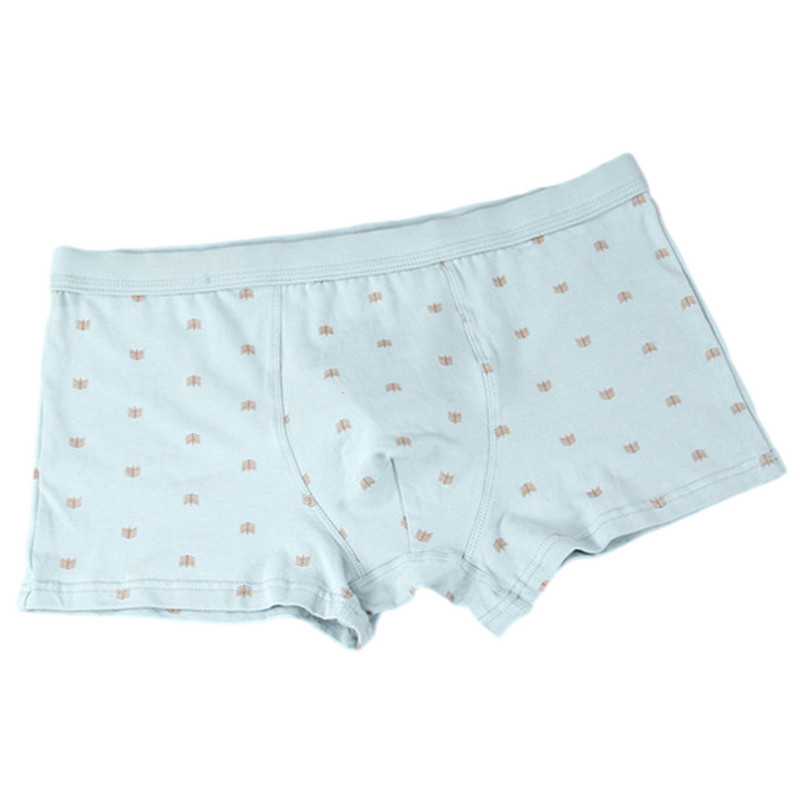 Ανδρικά καθημερινά φιλικά προς το δέρμα Μαλακά εσώρουχα Βαμβακερά σορτς μπόξερ Χαμηλής μέσης αναπνεύσιμα εσώρουχα U κυρτά εσώρουχα νεανικά εσώρουχα