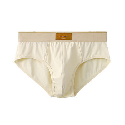 Ropa interior sexi para hombre Lenjerie de corp pentru bărbați de culoare uni bumbac lenjerie Chiloți pentru bărbați slip, boxer, chiloți