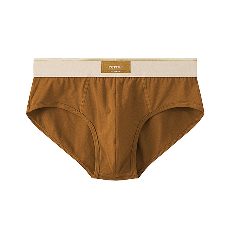 Ropa interior sexi para hombre Lenjerie de corp pentru bărbați de culoare uni bumbac lenjerie Chiloți pentru bărbați slip, boxer, chiloți