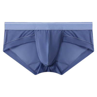 Νέο sissy ανδρικό εσώρουχο Super Soft Άνετο Εσώρουχο Ice Silk Sheer Mesh Ανδρικό σλιπ με εμπριμέ Σορτς Χαμηλόμεση σώβρακο