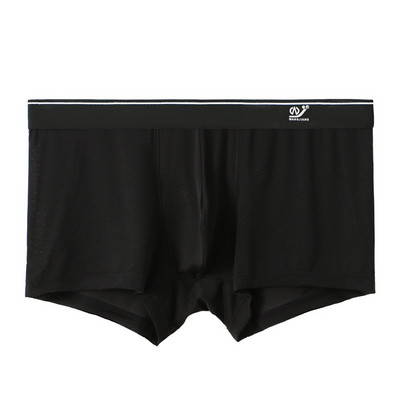 Novo ljetno muško donje rublje Ledena svila Brzo sušeće muške bokserice Prozračne gaćice od najlonske tkanine Jednobojni bikini niskog struka Mladi muški