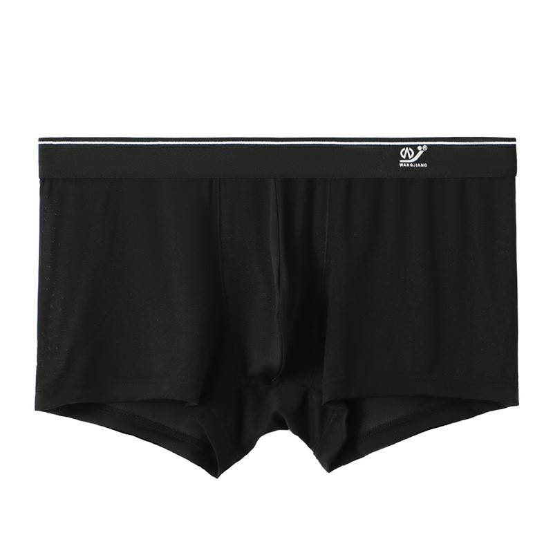 Novo ljetno muško donje rublje Ledena svila Brzo sušeće muške bokserice Prozračne gaćice od najlonske tkanine Jednobojni bikini niskog struka Mladi muški