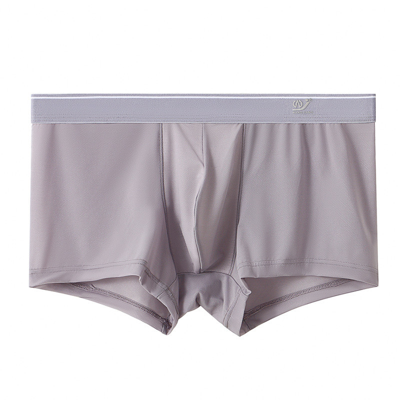 Novo ljetno muško donje rublje Ledena svila Brzo sušeće muške bokserice Prozračne gaćice od najlonske tkanine Jednobojni bikini niskog struka Mladi muški