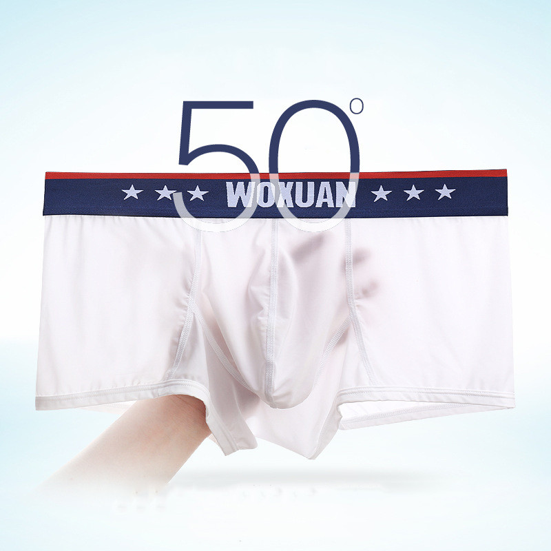 Νέα ανδρικά ελαστικά εσώρουχα μπόξερ εξαιρετικά λεπτά αναπνεύσιμα μπόξερ σορτς Cueca μαλακά σώβρακα χαμηλής μέσης