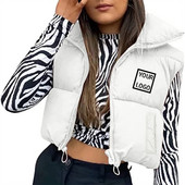 Γιλέκο τσέπης Ελαφριά γυναικεία ενδύματα κομμένα Προσαρμοσμένη χονδρική πώληση με ψηλό λαιμό και φερμουάρ Κομψό αμάνικο μπουφάν