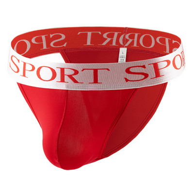 Muške ledeno svilene bikini gaćice Gaćice Donje rublje Torbica s izbočenim preponama Gaćice Elastični pojas Gaćice Prozirne mekane kratke gaćice